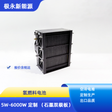  ȼϵѵ600W ʽ ӽĤȼϵ