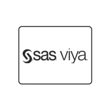 SAS Viya | 人工智能数据分析和管理平台 - 正版价格，睿驰科技供应