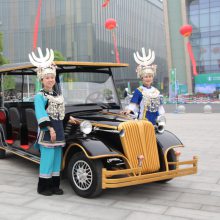 ͨ LVTONG ***ߵӪ˹۹⳵ Ӫү (Ϊ