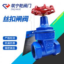 Ǭ ˿բ Z15X-16Q բ dn20 ֱͨʽܷⷧ