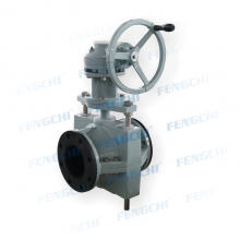 FENGCHI/ֶֹܼз