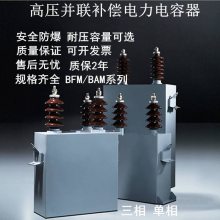 BFM11-150-1W单相高压电力电容器BFM10.5/11/12定做