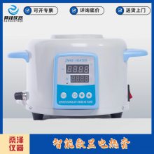 ZNHW型智能数显电热套5000ml加热套