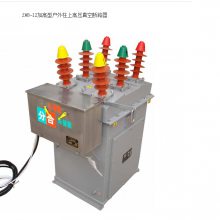 ZW8-12Ӹͻϸѹն·0.2s