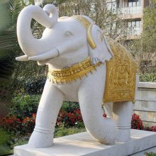 ʯ�ĵ�̼��״���,��԰���ʯ�Ĵ���,ͼƬ��ȫ