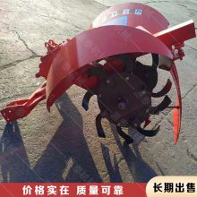 ǣʽũ¢ Ե ȿ
