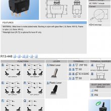 ̨½SCIԲ16Aťӿ˫UL ENEC R13-448 448F1
