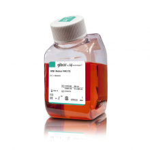 ĬThermoFisher RPMI 1640 Medium 11875093