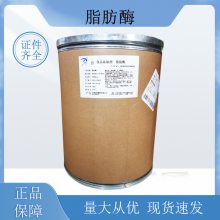 脂肪酶 烘焙面包饼干 食品级酶制剂 资质齐全 1kg起发 提供样品