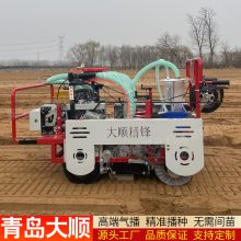 大顺平地气吸式菠菜香菜芹菜油菜生菜播种机 一穴一粒免人工省种子