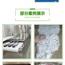 广州沃斯特 微波化工原料烘干流水线 化工产品干燥设备