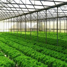 连栋温室大棚 智能控制 果蔬种植 内外遮阳系统ZK-03