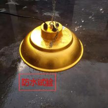 四川厂家-畜牧保温灯厂家-三渡照明(优质商家)