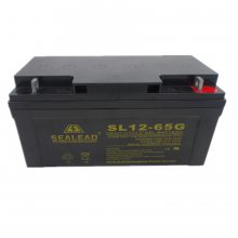 SEALEADSL12-6512V6H UPSֱר