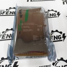 EMERSON SM-PROFIBUS DP-V1 ϵͳ
