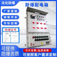防爆电伴热控制箱 化工石油厂用照明动力配电箱 钢板控制柜
