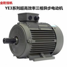 西安泰富西玛电机YE3-132S1-2 5.5KW 380V B3 超***电机 ******