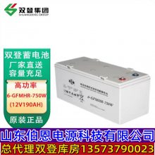 代理雙登高倍率閥控免維護(hù)鉛酸蓄電池6-GFMHR-750W大功率12V190AH