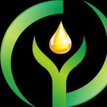 山茶油_亚麻籽油_油茶籽油–【湖南亚美茶油股份有限公司】