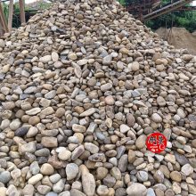博罗县鹅卵石供应商家-自来水厂鹅卵石规格-普通鹅卵石多少钱一吨