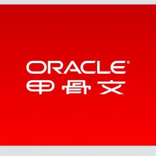 Oracle 标准2CPU数据库 正版软件价格