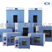 鼓风干燥箱 BGG-9075A