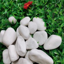 机制白色鹅卵石【3-5厘米】白砾石 雨花石庭院造景石