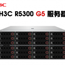 H3C R5300 G5 PCIe 12LFF CTOһ4U·칹