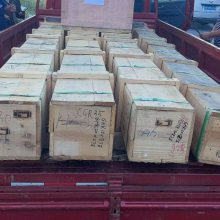 KESSLERI(y)I(lng)S ̖374735D(zhun)24000