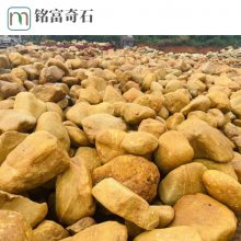 新泰刻字黄蜡石，景观吨位黄蜡石直批，山东公园点缀石材