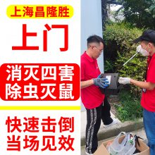 上海 松江区除鼠除蟑螂除白蚁除螨虫除臭虫灭潮虫灭鼻涕虫服务公司