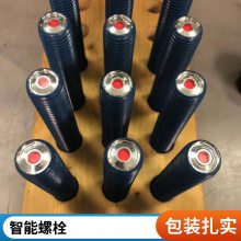 GB70ɫ12.9ǿԲͷ˿ͷ˨SmartBoltS-Ӿָʾ˨