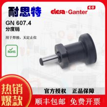 GANTERֶGN 607.4ֶ¹ӦGANTER輪ֳڶ