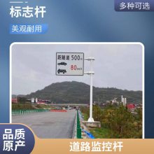 胜翔 交通监控杆 八角道路小区监控立杆 电子杆