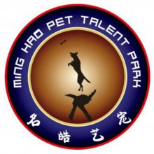 天津市东方名仕犬类训练服务有限公司