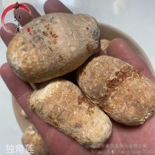 中药材独角莲一公斤价格 独角莲现货销售