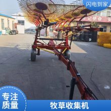 拖拉机带指盘式搂草机 液压自走式搂草耙 弹齿式秸秆收集机
