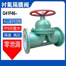 ϸ߹Ӧ G41F46-16C ķĤ DN65 й©WCBֲ
