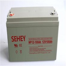 SEHEYNP2-3000/2V3000AhƷѿ