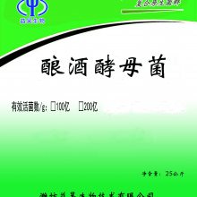 酿酒酵母菌厂家 山东酿酒酵母菌生产厂 饲料用酵母菌