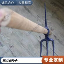 森林消防防火兩用耙戶外搶險救援不銹鋼滅火耙山林滅火三齒耙