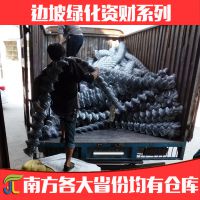 Ҷƹֲ̻粥˿п