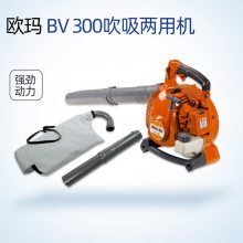 ŷBV300ʽɭֻ԰̻