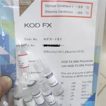 +߱+߳ɹ pcr***kodø