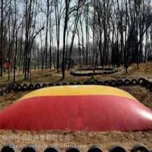 ֳıĴ2020***ڵµɳѴĴ