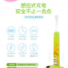 ֱ ͯ綯ˢ ֽȤζ߸Ӧˢ OEM