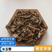 新货中药材水玉簪无熏硫原材料肥菜市场批发散装价格