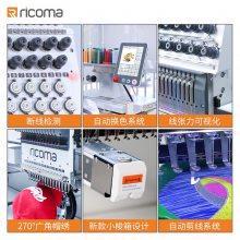 RicomaͷȫԶ廨ñ塢ƽ塢๦廨
