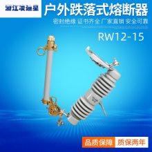RW12-15/100Aѹʽ۶200A˿10KV˿