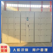 智能控制柜 人脸识别自动储物柜 按需定制功能尺寸颜色
